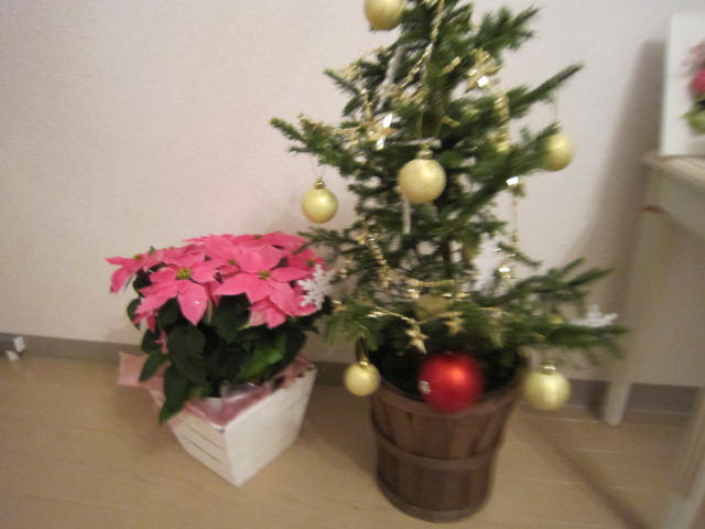 ファイル 227-1.jpg